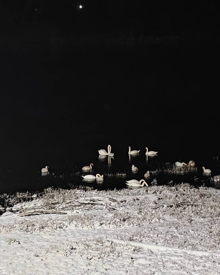 Mythbreaking cover